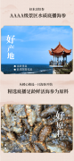 一直以“无机”为核