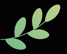 “工做人员耐心地给我们普及关于食物平安方面